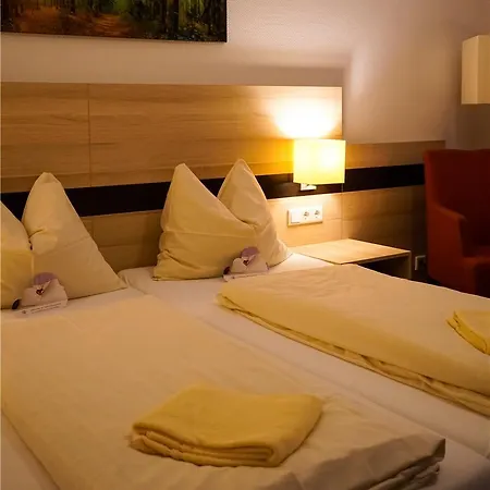 Hotel Taunustagungshotel *